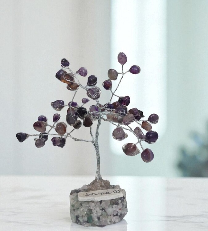 Árvore de Pedra naturais m