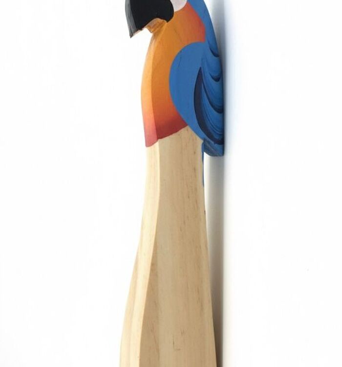 Abridor Canindé Sana